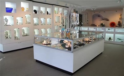 Mize Custom Display Case