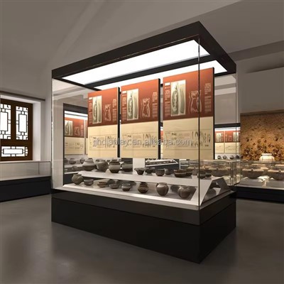 Mize Sekirite Display Case